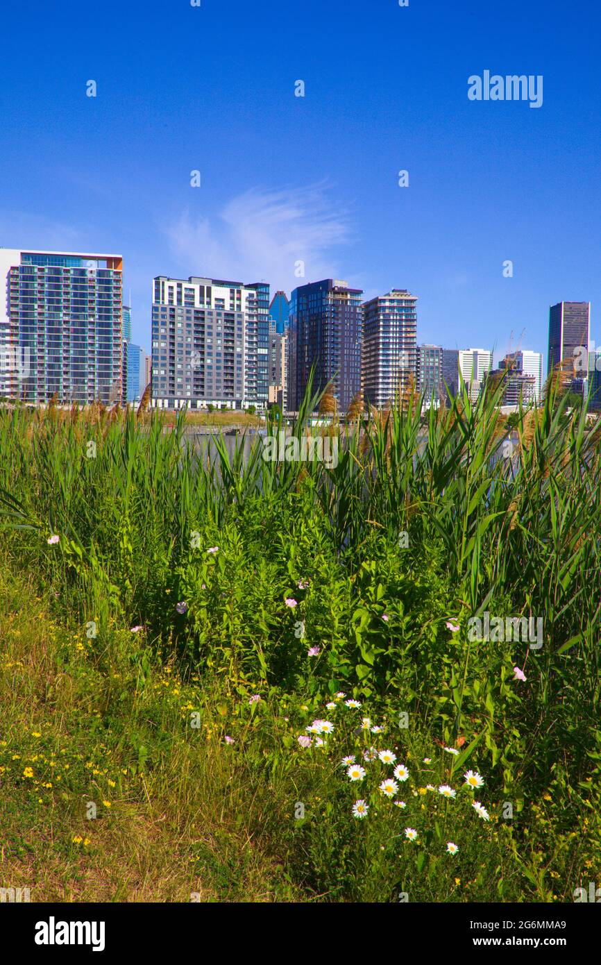 Canada, Quebec, Montreal, Lachine Canal, apartment buildings Stock ...