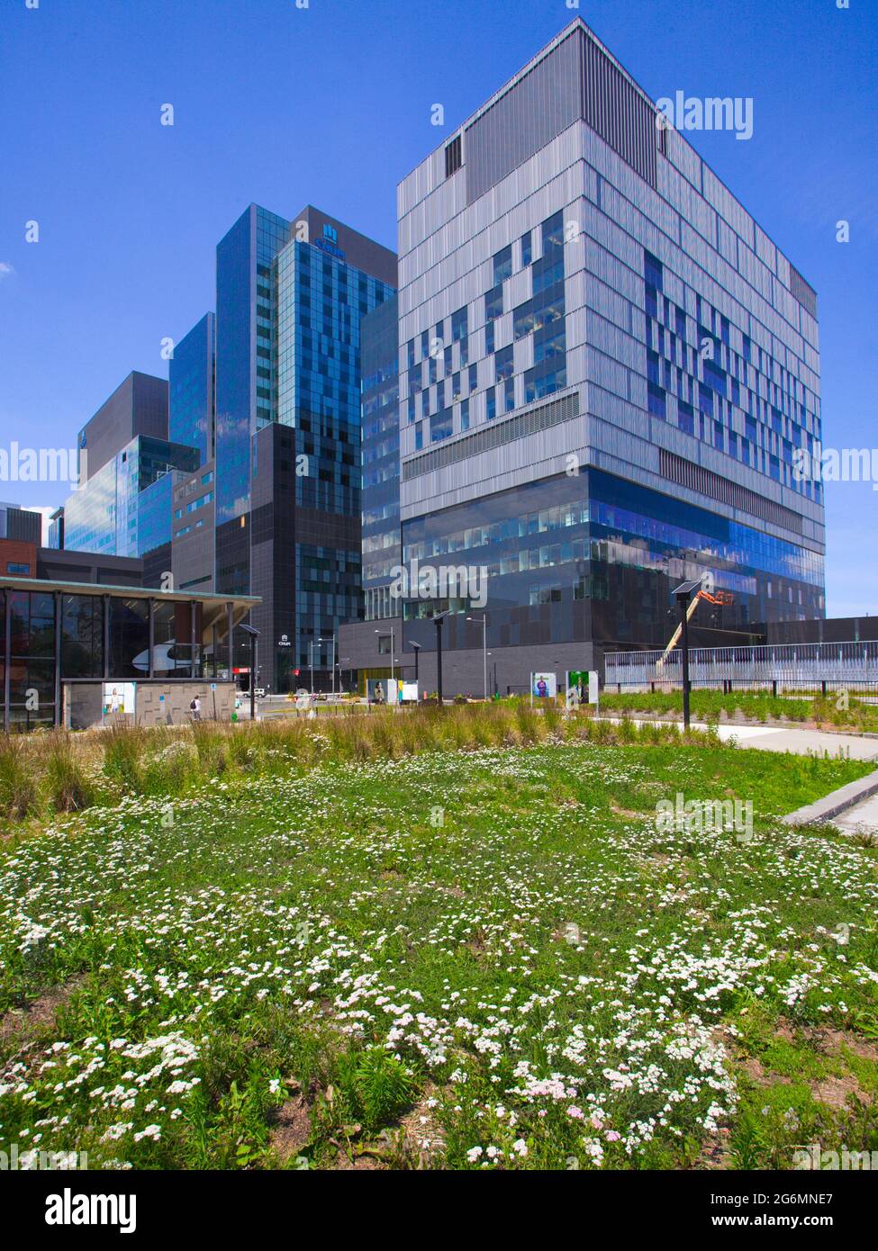 Canada, Quebec, Montreal, CHUM hospital Stock Photo Alamy