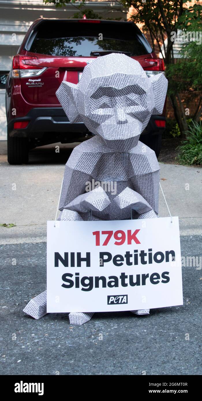 Chevy Chase MD, 7 July 2021 PETA protest NIH continued monkey