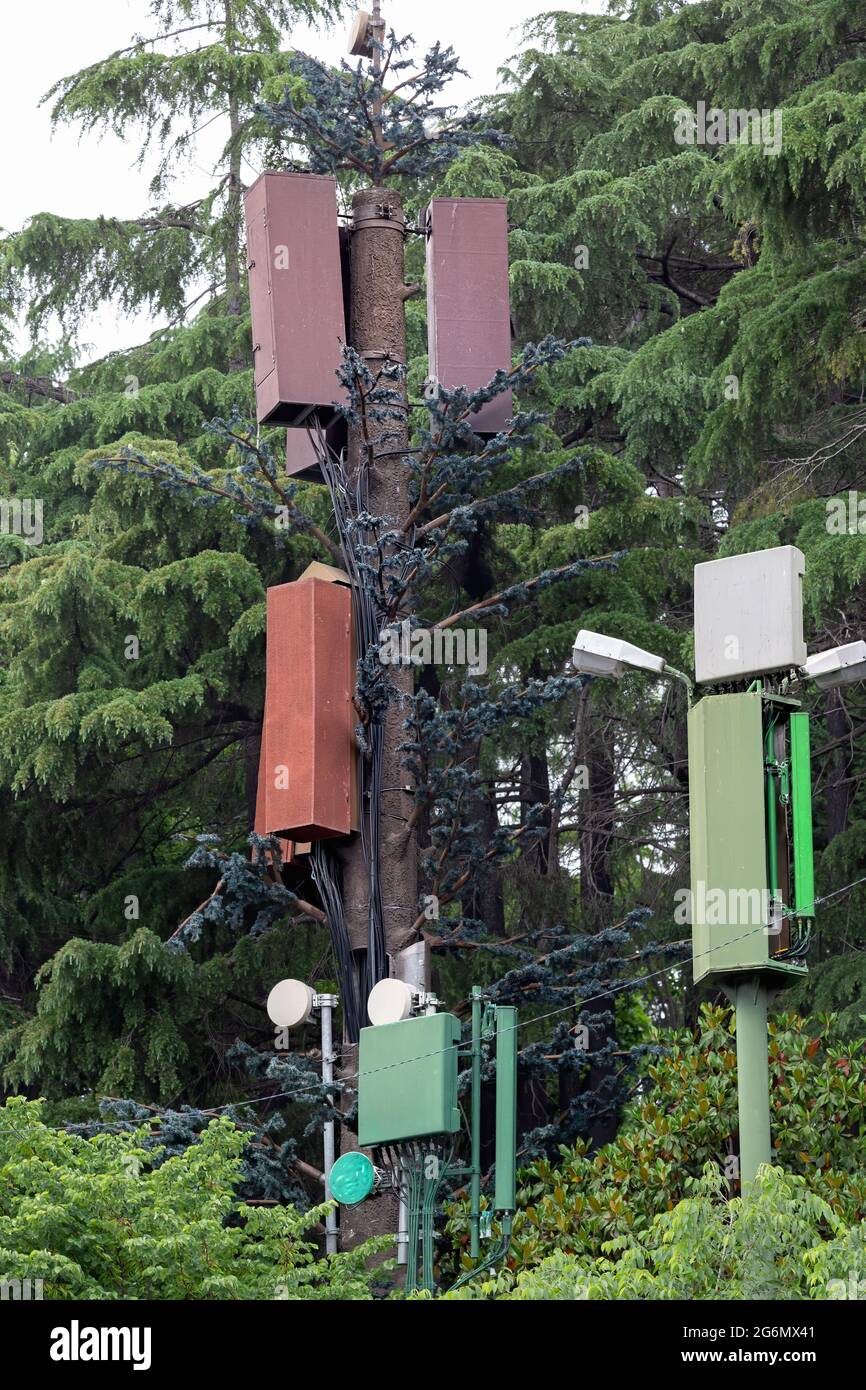 Antennas on a base station for cellular reception of mobile technology service providers. Surrounded by trees. Stock Photo