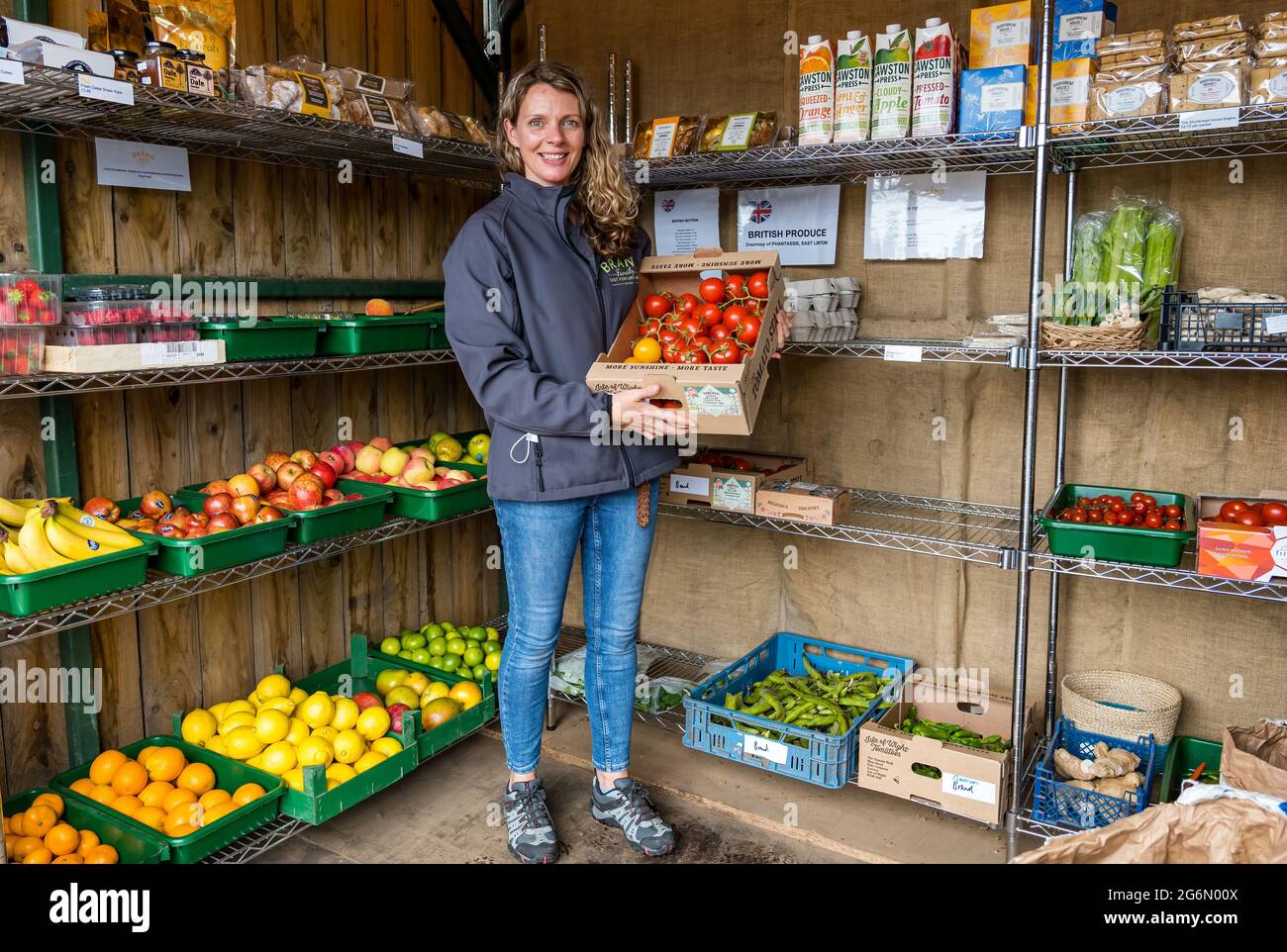 Shop assistant with tomatoes,  fresh fruit & vegetables, Brand Family larder, East Fortune farm, East Lothian, Scotland, UK Stock Photo