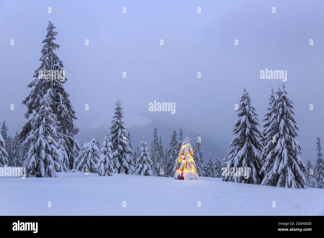 Fluffy Garland Hi res Stock Photography And Images Alamy fluffy-garland-hi-res-stock-photography-and-images-alamy