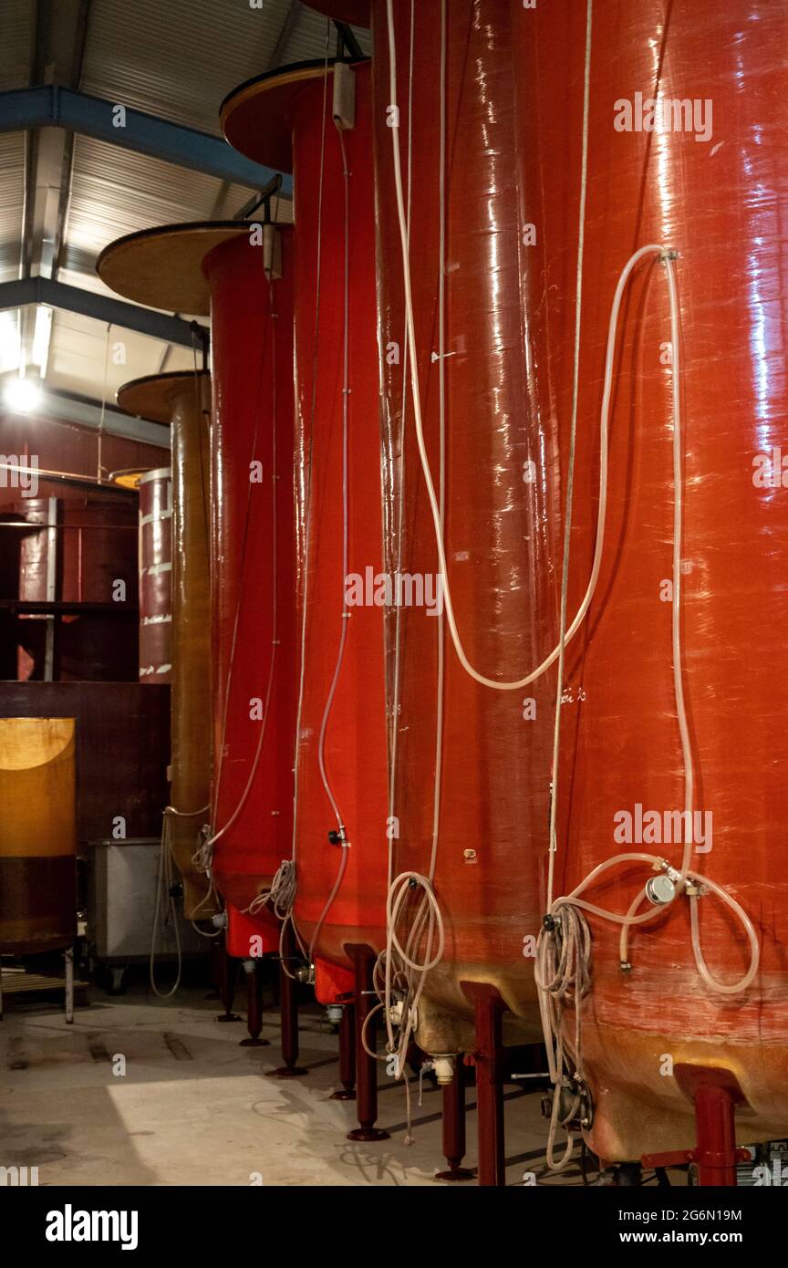 Making of dry white wine in big plexiglass tanks in Burgundy from chardonnay grape, French wine