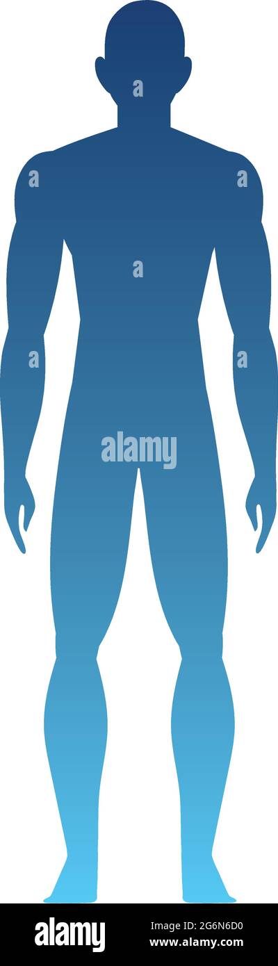 silhouette of a human body Stock Vector Image & Art - Alamy