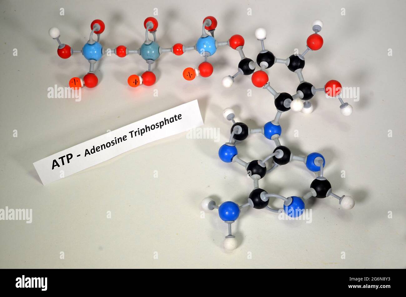 Molecule model of ATP, Adenosine Triphosphate. White is hydrogen, black is carbon, red is oxygen, darkblue is nitrogen, and lightblue Pphosphorous. Or Stock Photo