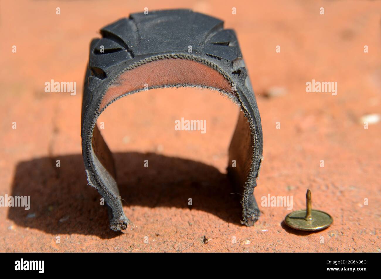 Cross section of bicycle tyre with Kevlar reinforcement, and a thumb tack as reference. Stock Photo