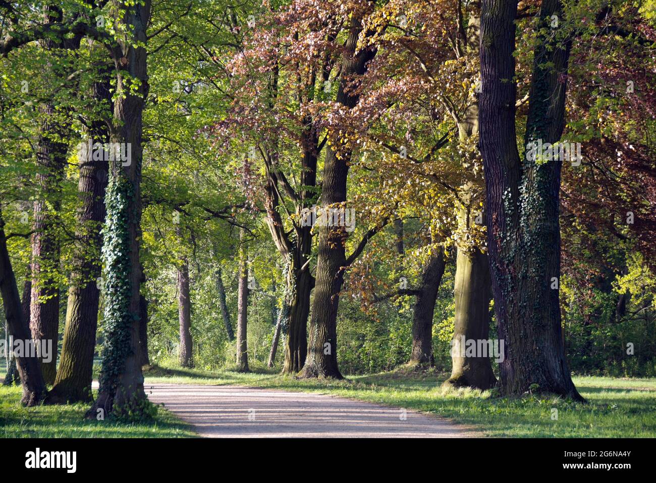 Park Sanssouci - landscape in springtime Stock Photo