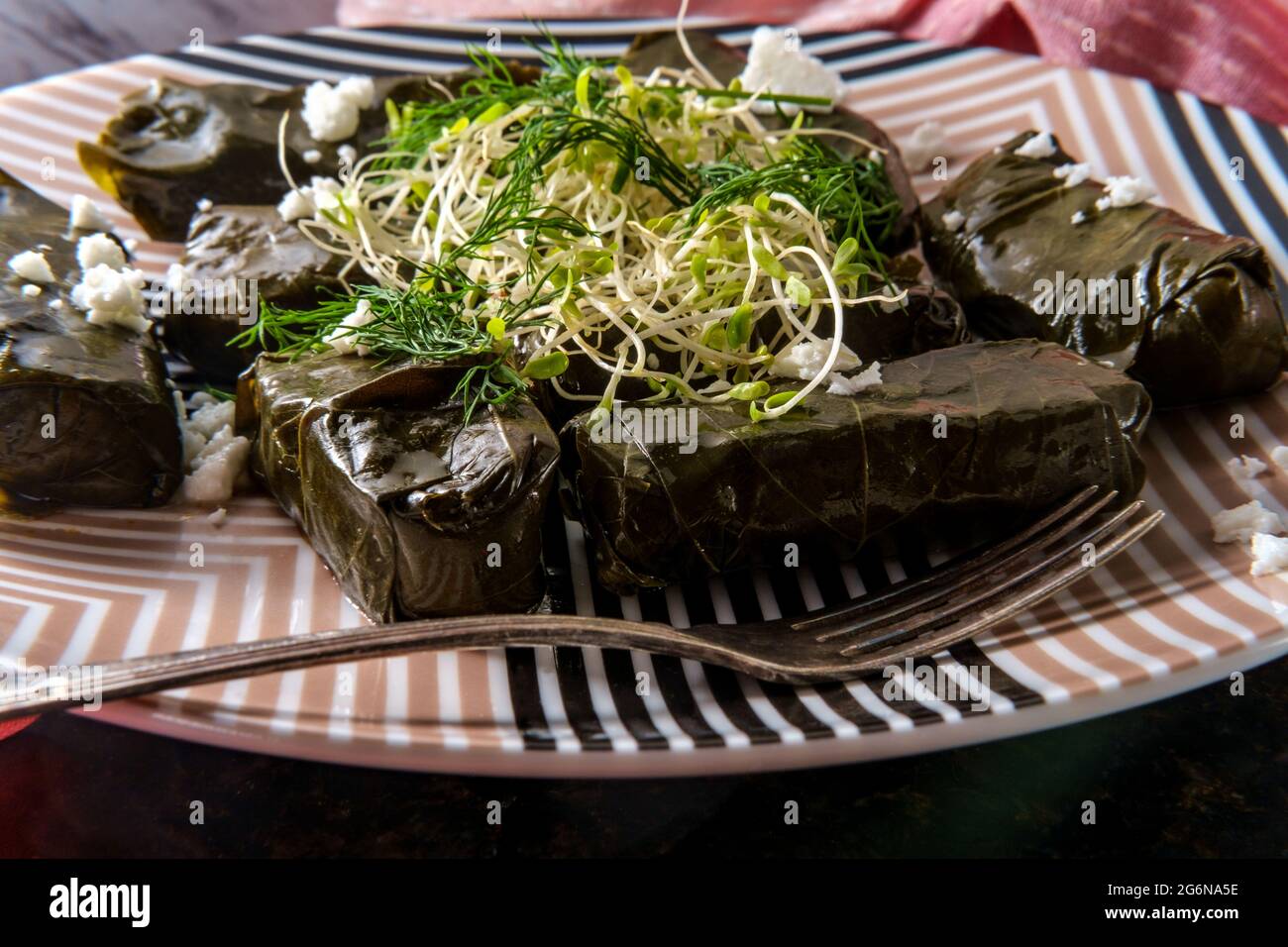 Armenian yaprak dolma, stuffed grape leaves appetizer Stock Photo Alamy