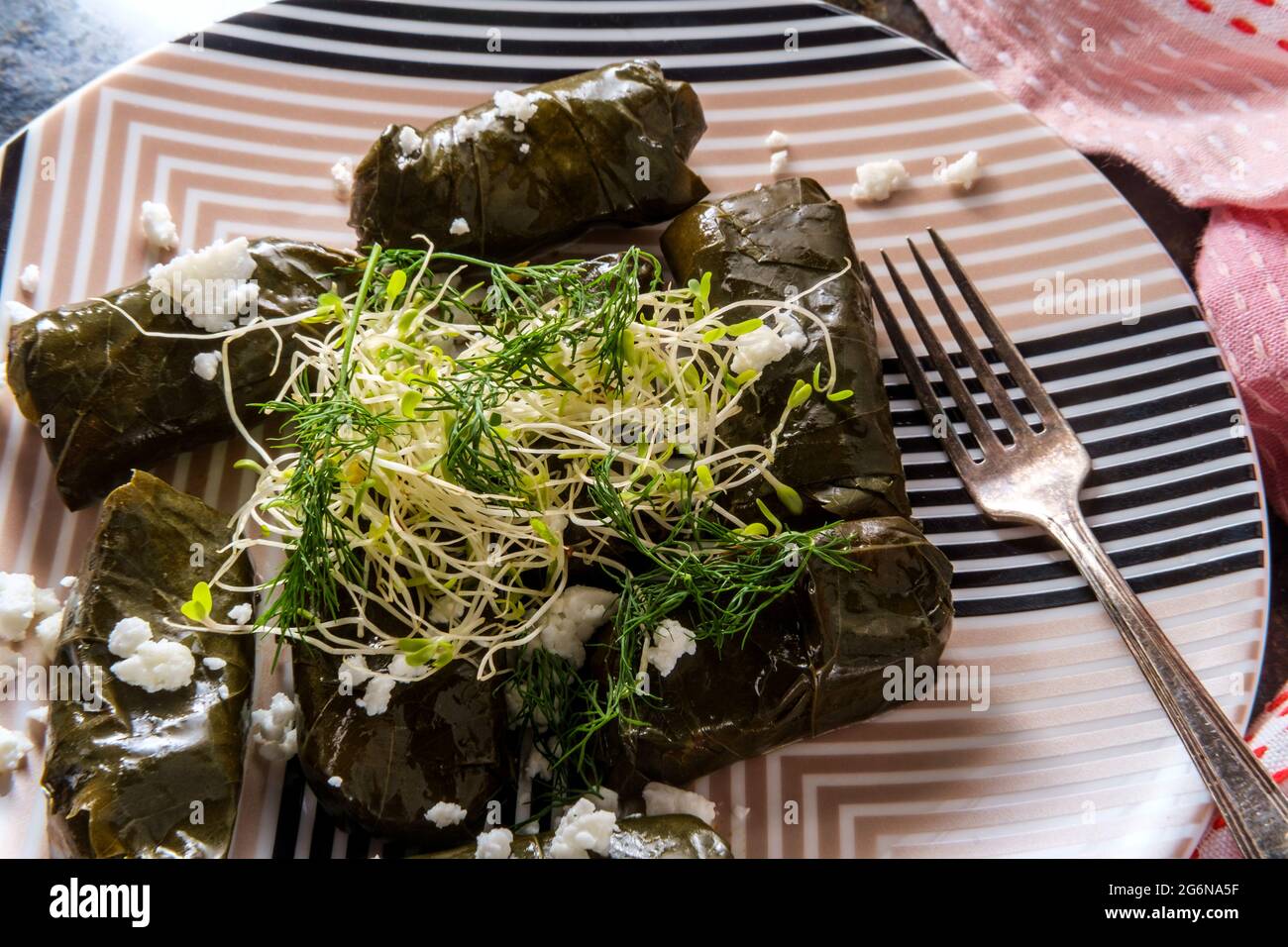 Armenian yaprak dolma, stuffed grape leaves appetizer Stock Photo Alamy
