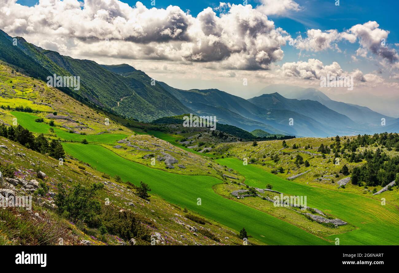 High altitude cereal fields on the slopes of the mountain range of the Gran Sasso and Monti della Laga National Park. Abruzzo, Italy, Europe Stock Photo
