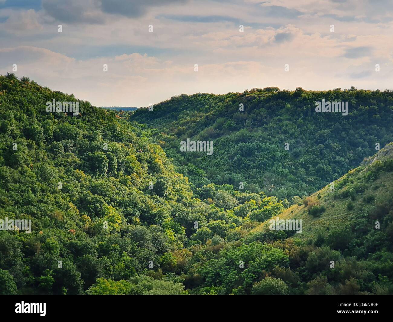 Picturesque view to the green forest on the hills. Idyllic summer landscape scene. Environment and nature conservation concept. Fresh air of the woodl Stock Photo