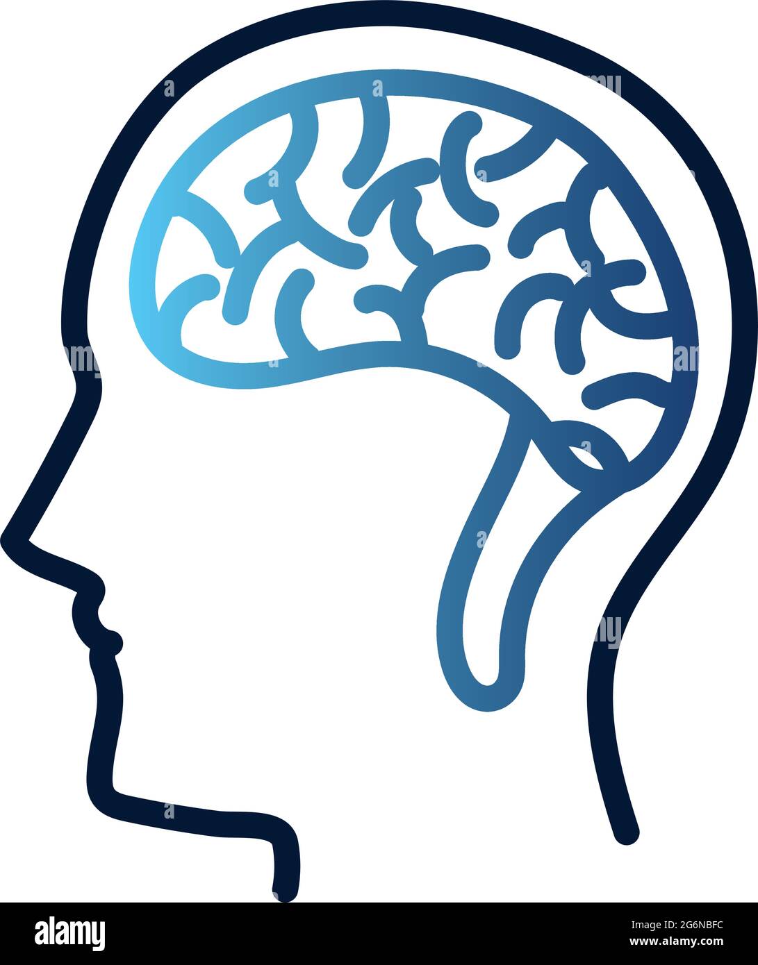 human head brain Stock Vector Image & Art - Alamy