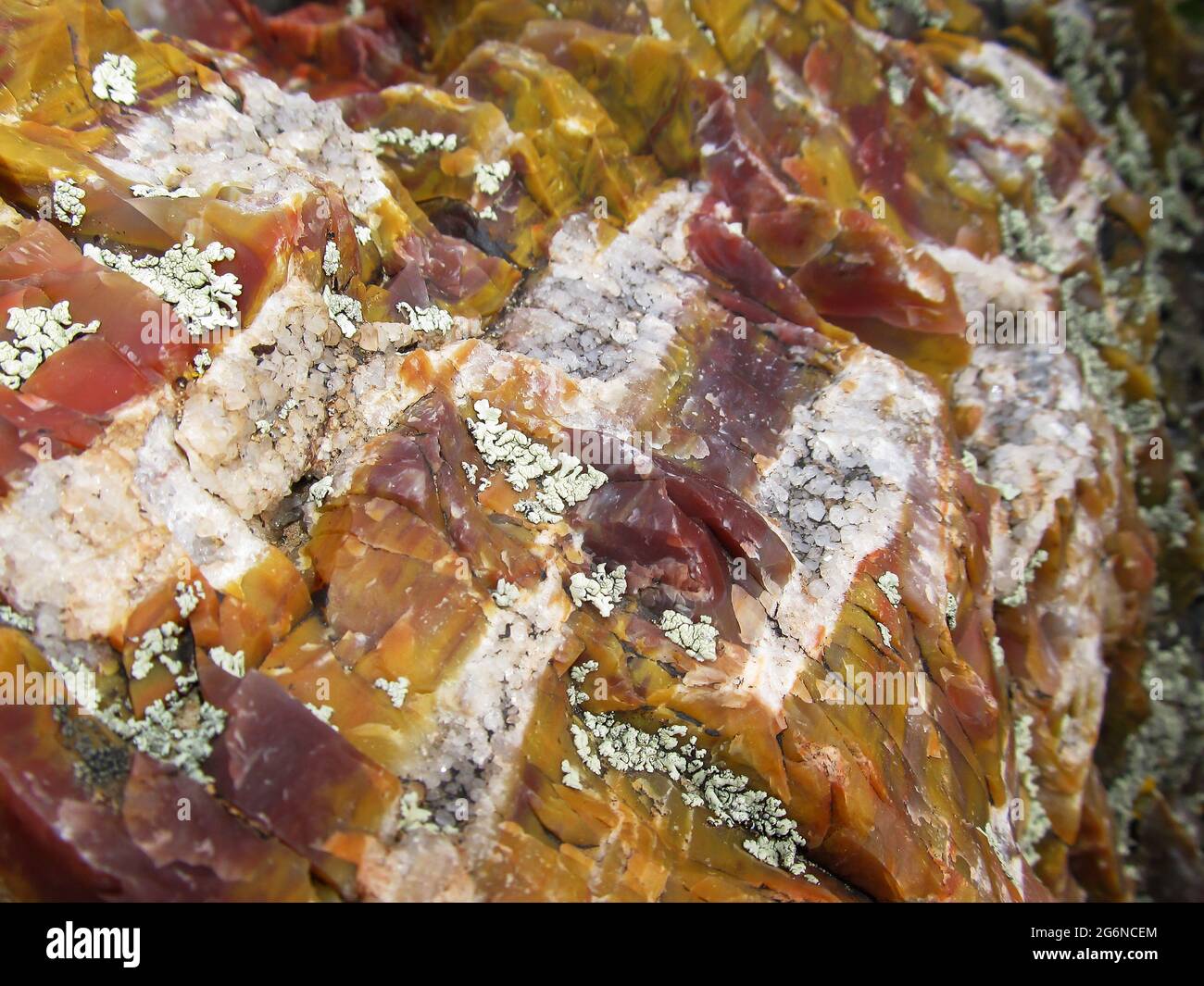 Quartz crystals which grew in the cracks of a piece of colorful fossilized wood of the Petrified Forest state park, Escalante, Utah, USA Stock Photo