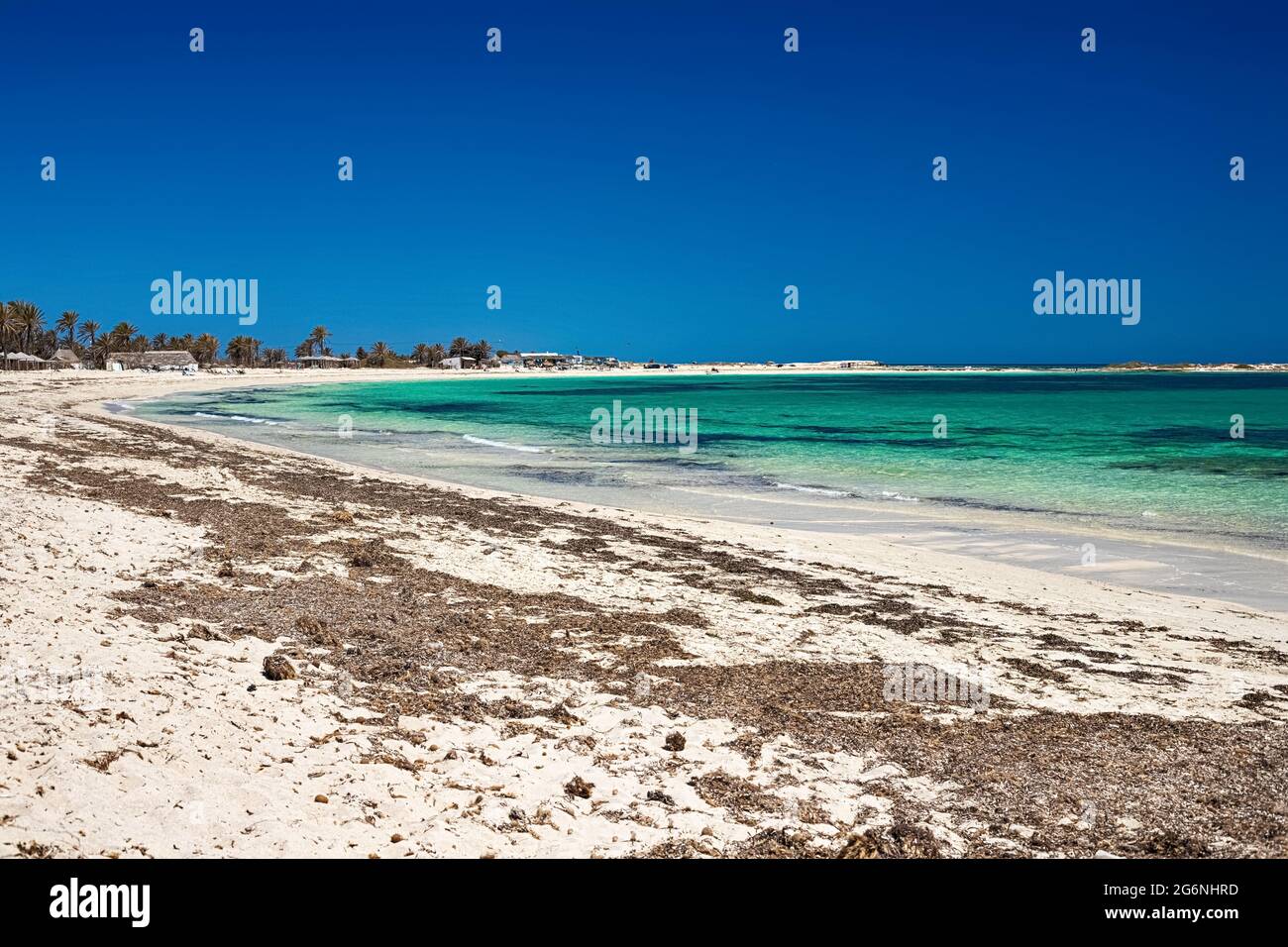 A beautiful view of the Mediterranean coast with birch water, a beach with white sand and a green palm tree. Stock Photo