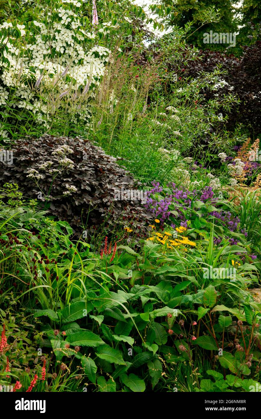 Dense mixed versatile planting in the RHS Garden for a Green Future, a feature garden designed by Jamie Butterworth at the Hampton Court Palace Garden Stock Photo