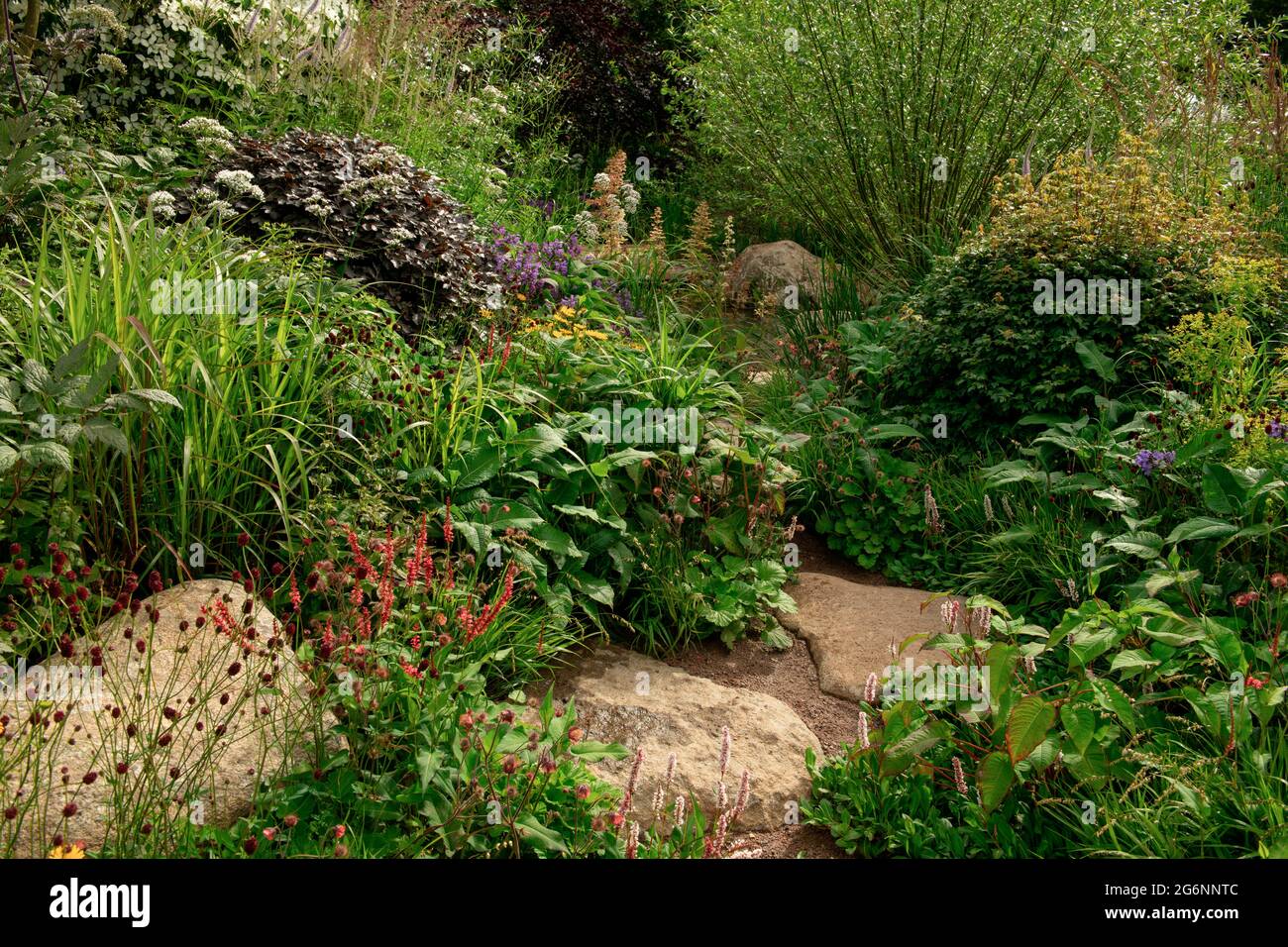 The RHS Garden for a Green Future at the Hampton Court Palace Garden Festival 2021 Stock Photo