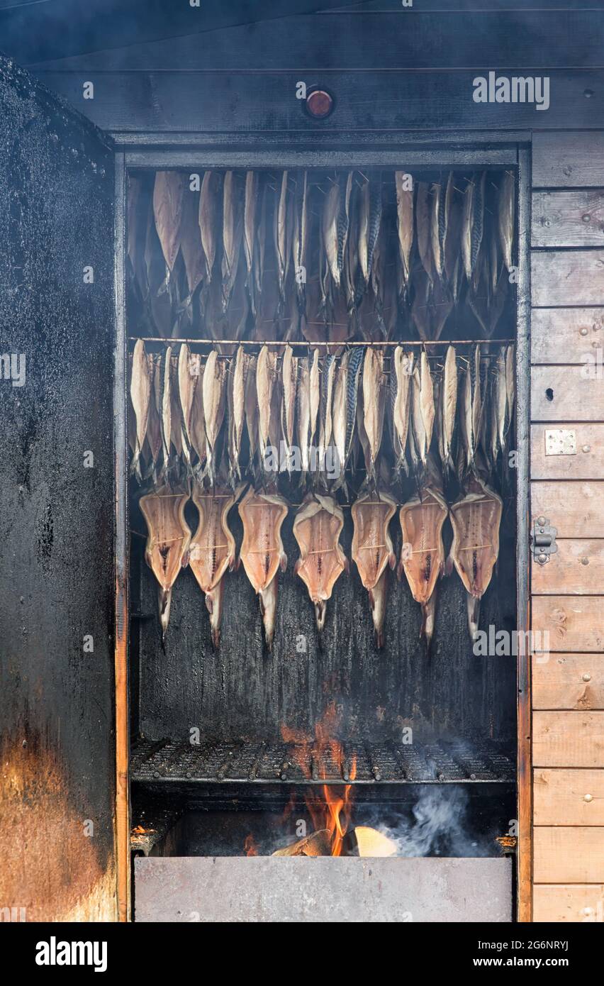 Freshly caught sea fish is smoked in smokehouse Stock Photo Alamy