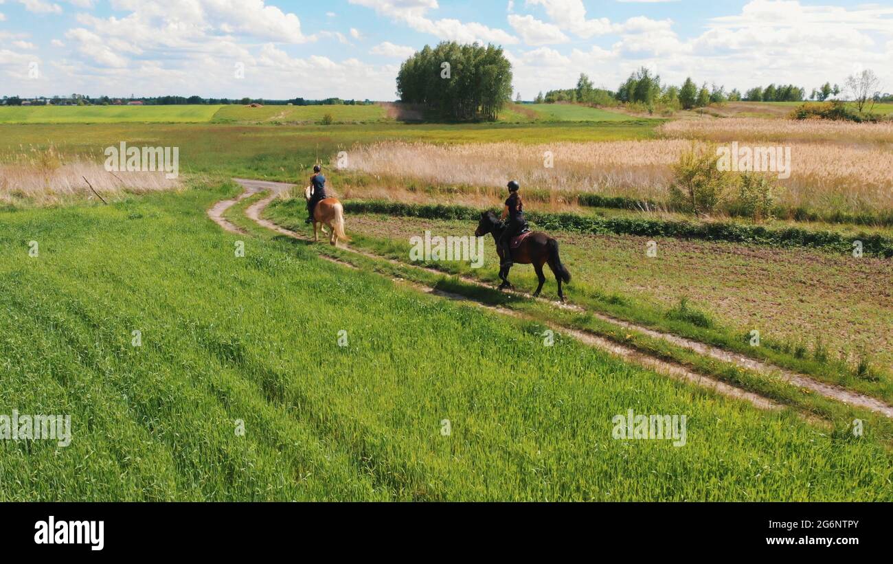 Aerial shot of two horse riders in a beautiful field meadows during the ...