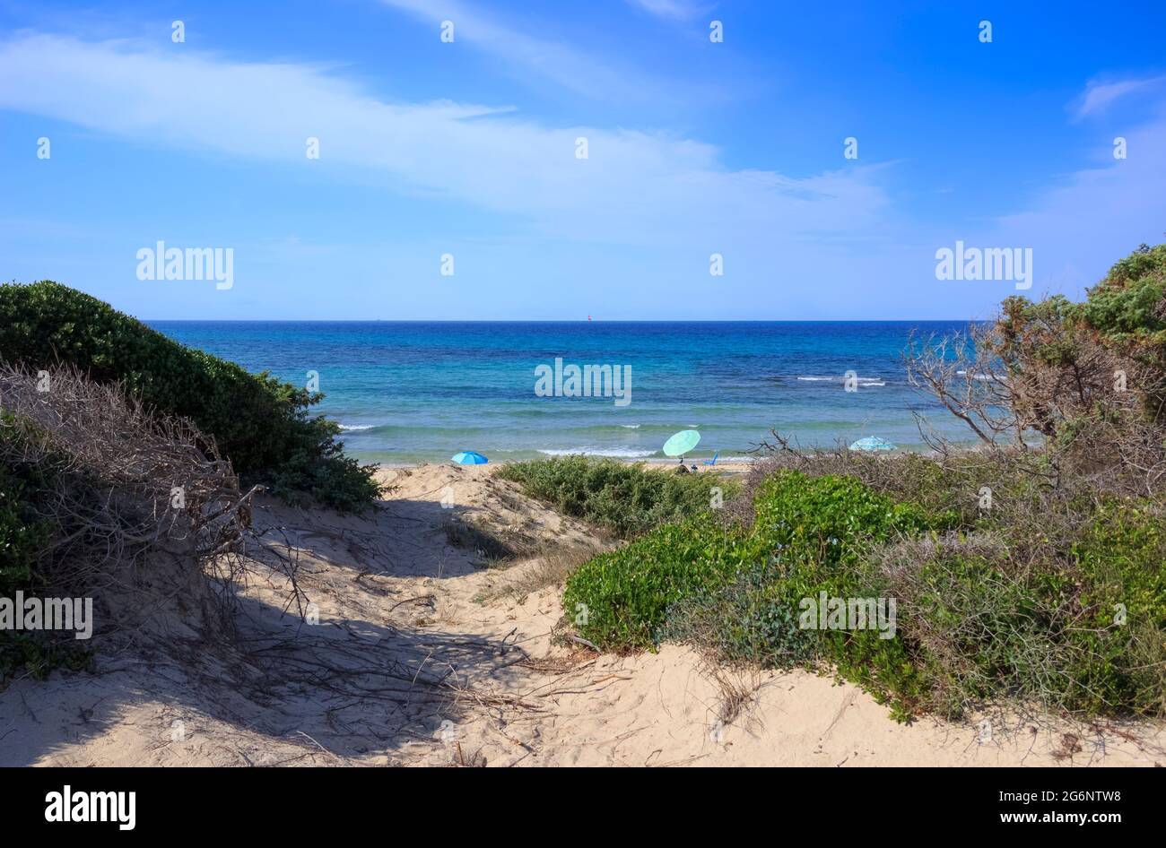 Apulia beach: Torre Guaceto Nature Reserve in Italy. View of the coast and the dunes with Mediterranean maquis. Stock Photo