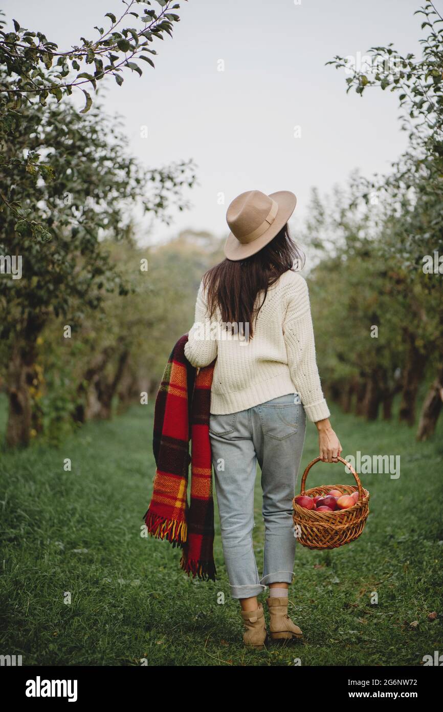 Back view of woman in straw hat, white sweater and jeans holdind plaid and basket full of aplle walking in autumn garden. Stock Photo