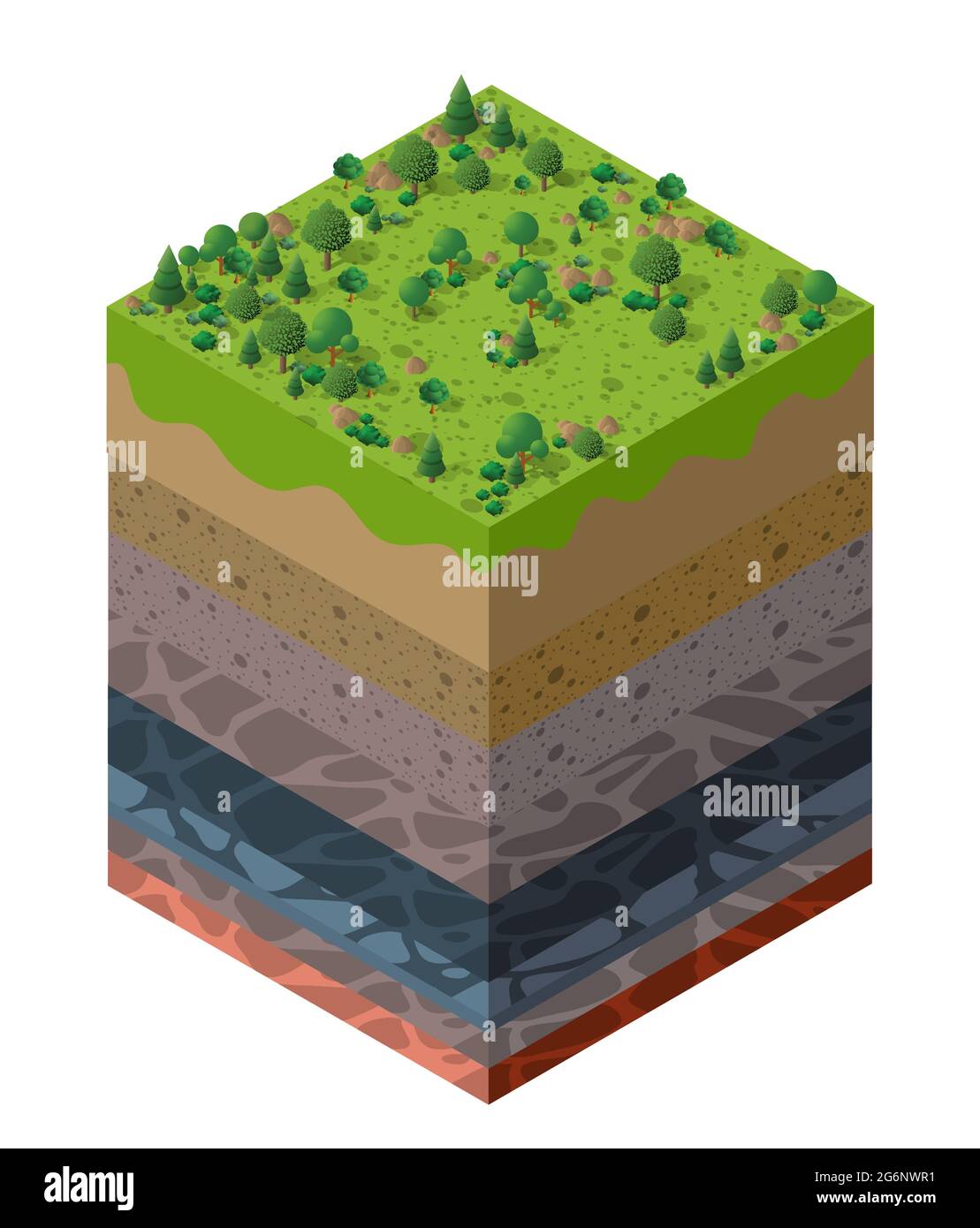 Forest natural landscape Soil layers geological and underground Stock