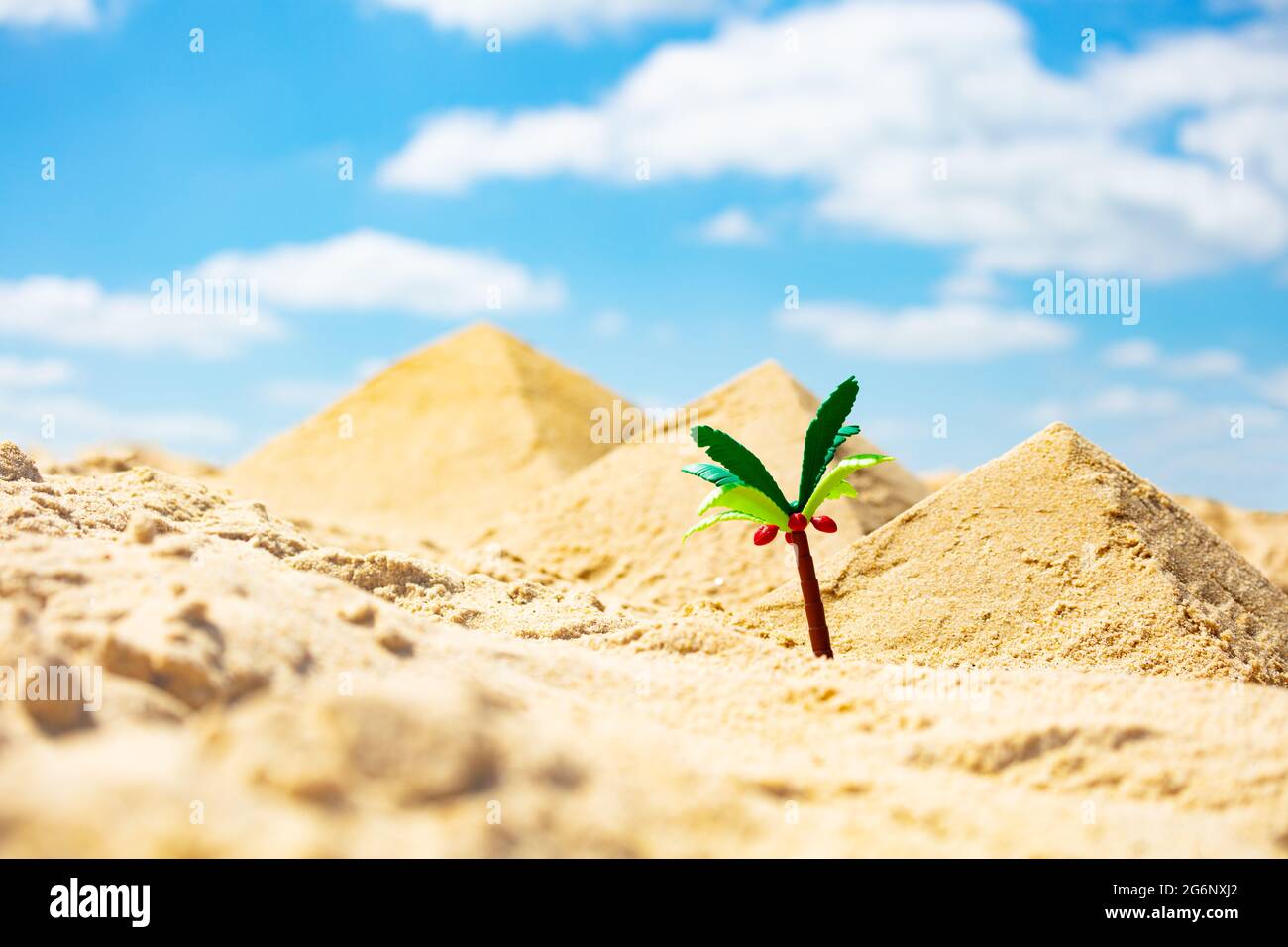 Miniature tiny toy palm tree pyramids on beach Stock Photo Alamy