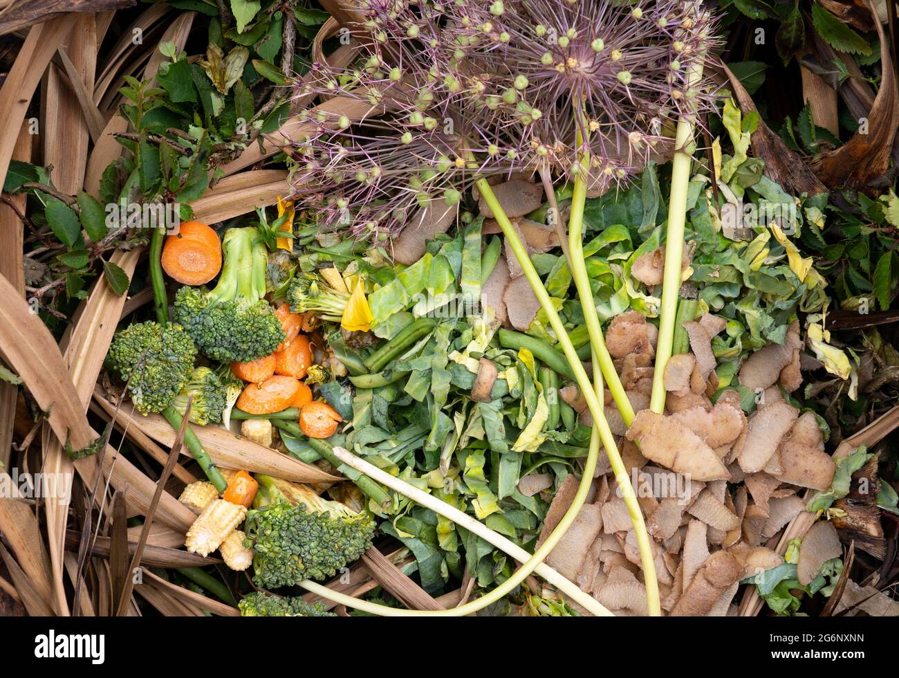 Vegetable Waste High Resolution Stock Photography and Images Alamy