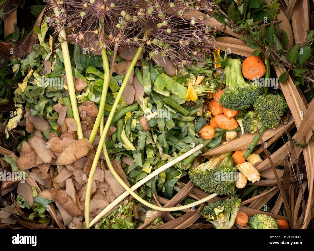 Vegetable Waste High Resolution Stock Photography and Images Alamy
