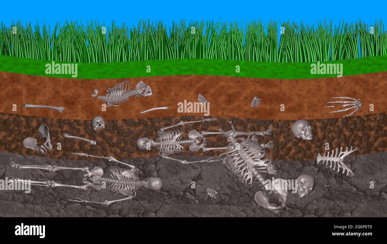 Human skeletal remains underground. Buried murder victims under layers of soil and earth. Body parts . Dead people .  3d render illustration Stock Photo