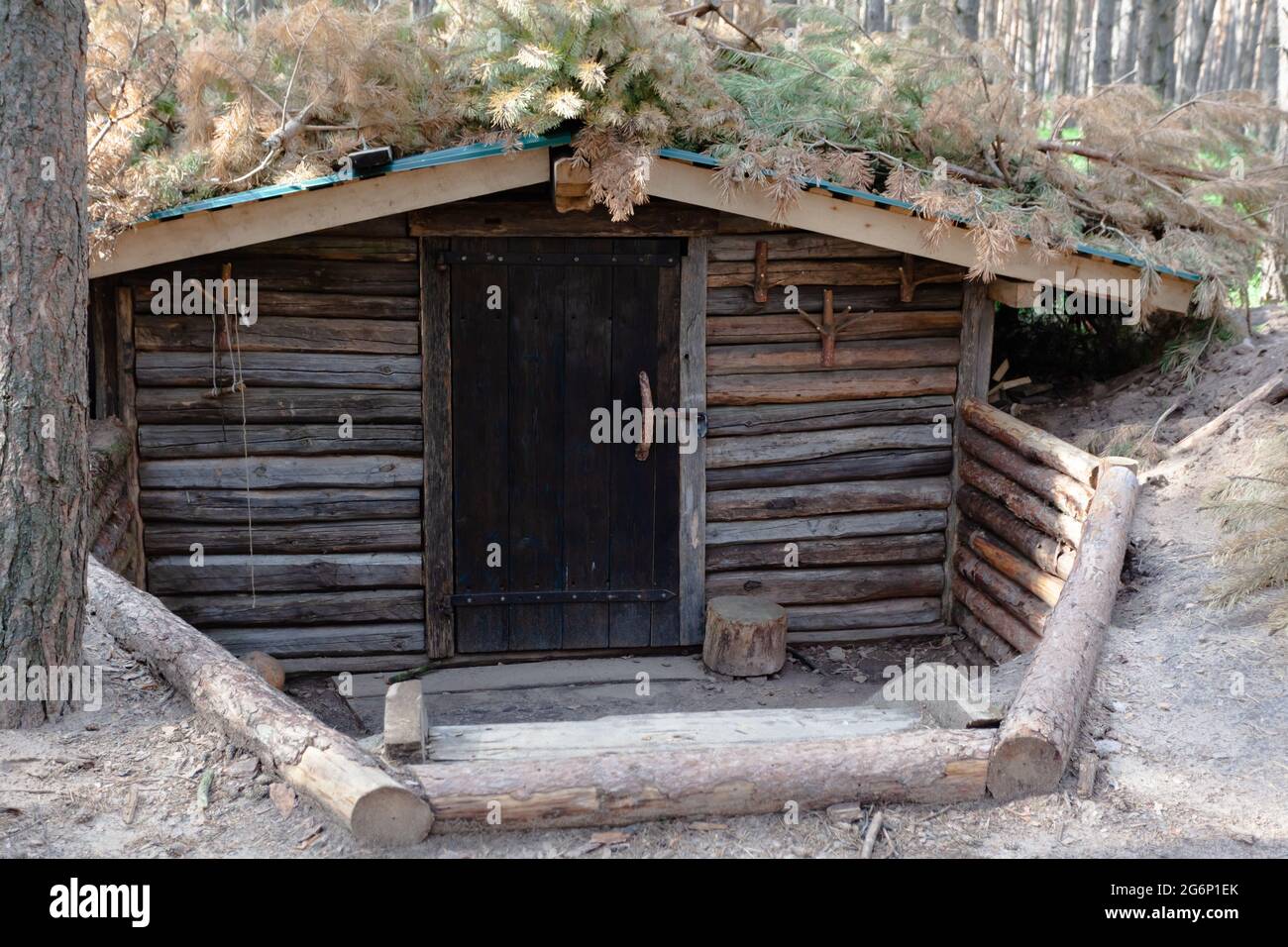 entrance to the dugout, dugout in the summer forest Stock Photo