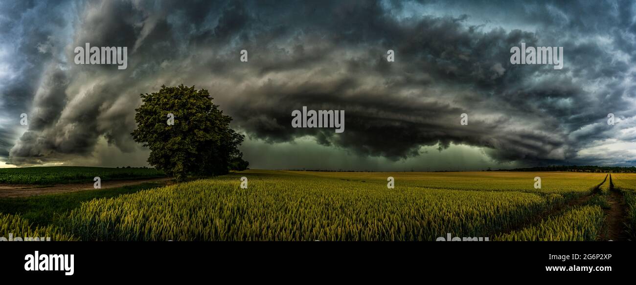 A violent thunderstorm is coming. Imposing and frightening shelf cloud announces the thunderstorm Stock Photo