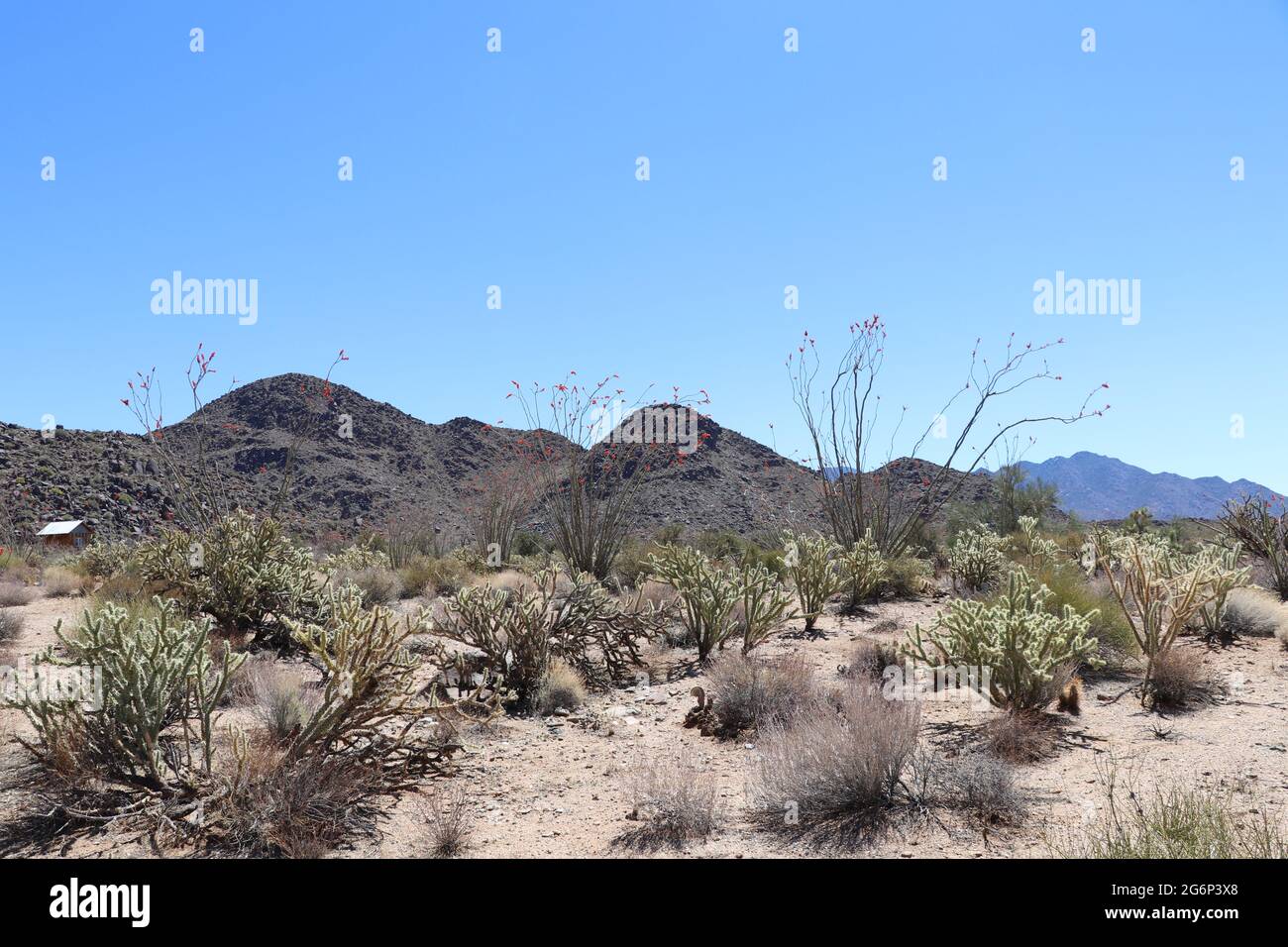 Dry Desert Climate Environment Stock Photo