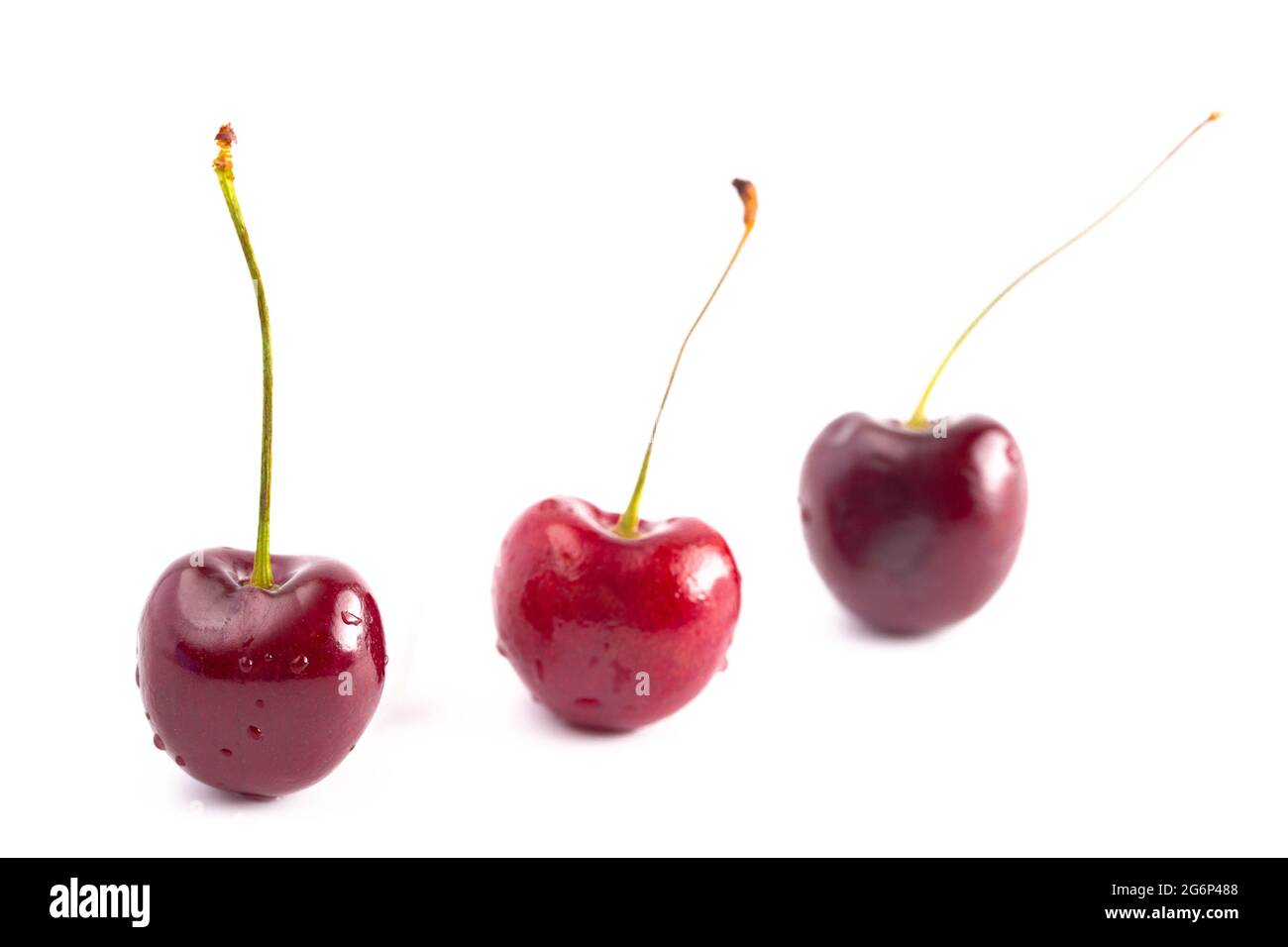 Fresh Dark Red Cherries with Stems Isolated on a White Background Stock Photo