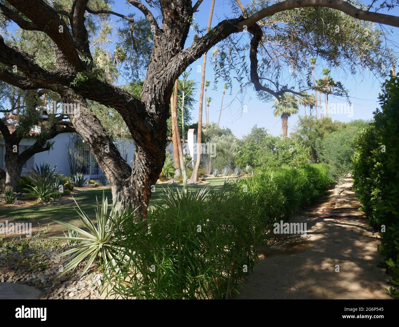 Palm Springs, California, USA 24th June 2021 A general view of