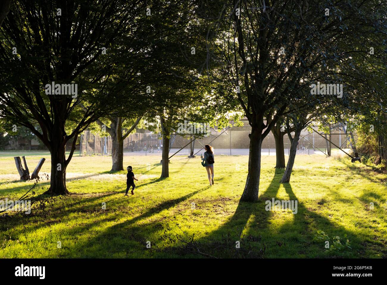 A mother and a child chasing each other amongst trees Stock Photo