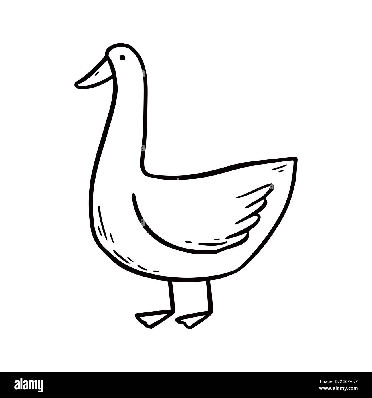 Duck drawing - How to draw a duck - Easy drawings easy