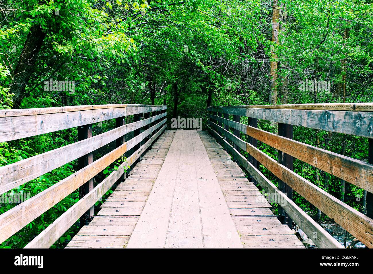 Wooden bridge in nature park. Stock Photo