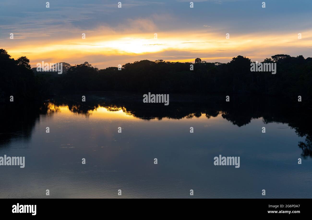 Amazon rainforest sunrise, Garzacocha lagoon, Yasuni national park, Ecuador. Stock Photo