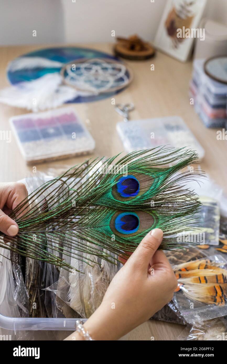 Peacock feather decoration hi-res stock photography and images - Alamy