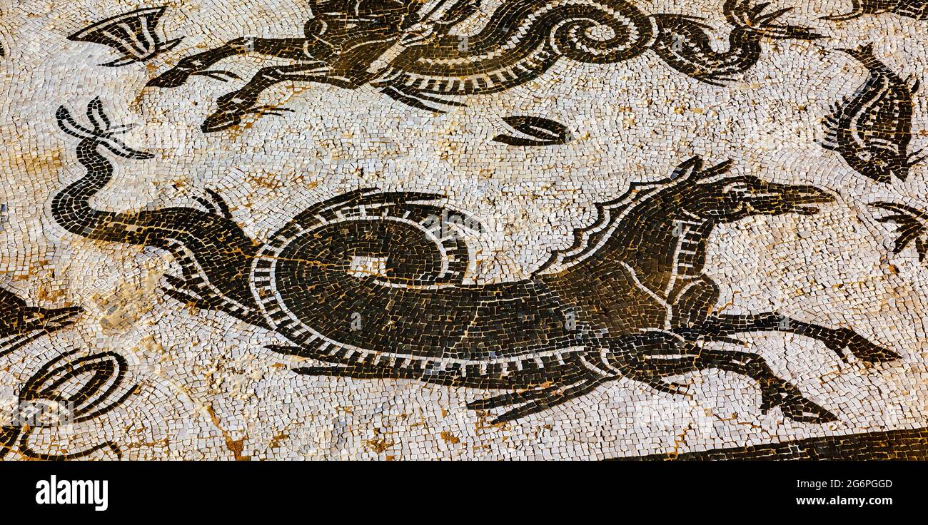 horse-serpent-mosaic-hi-res-stock-photography-and-images-alamy