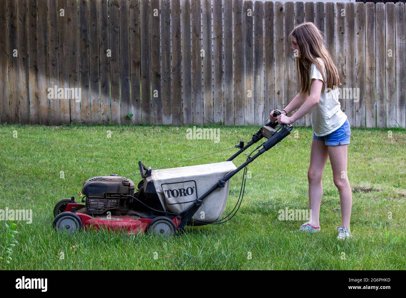 young female child in summer clothes mowing green grass in yard in summer outdoors Stock Photo