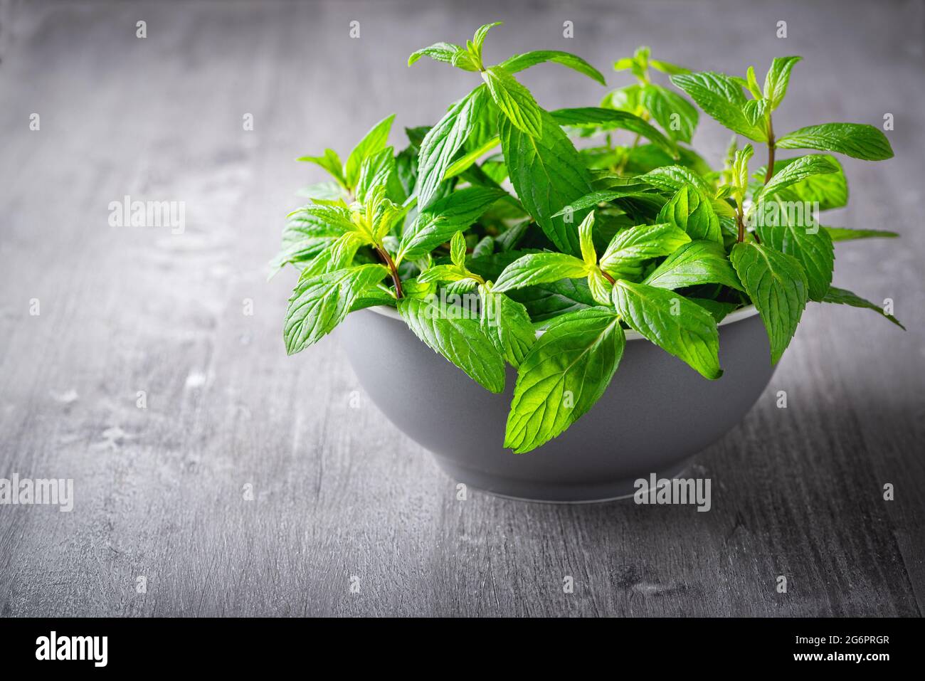Mint in a plate on a gray wooden table. Stock Photo