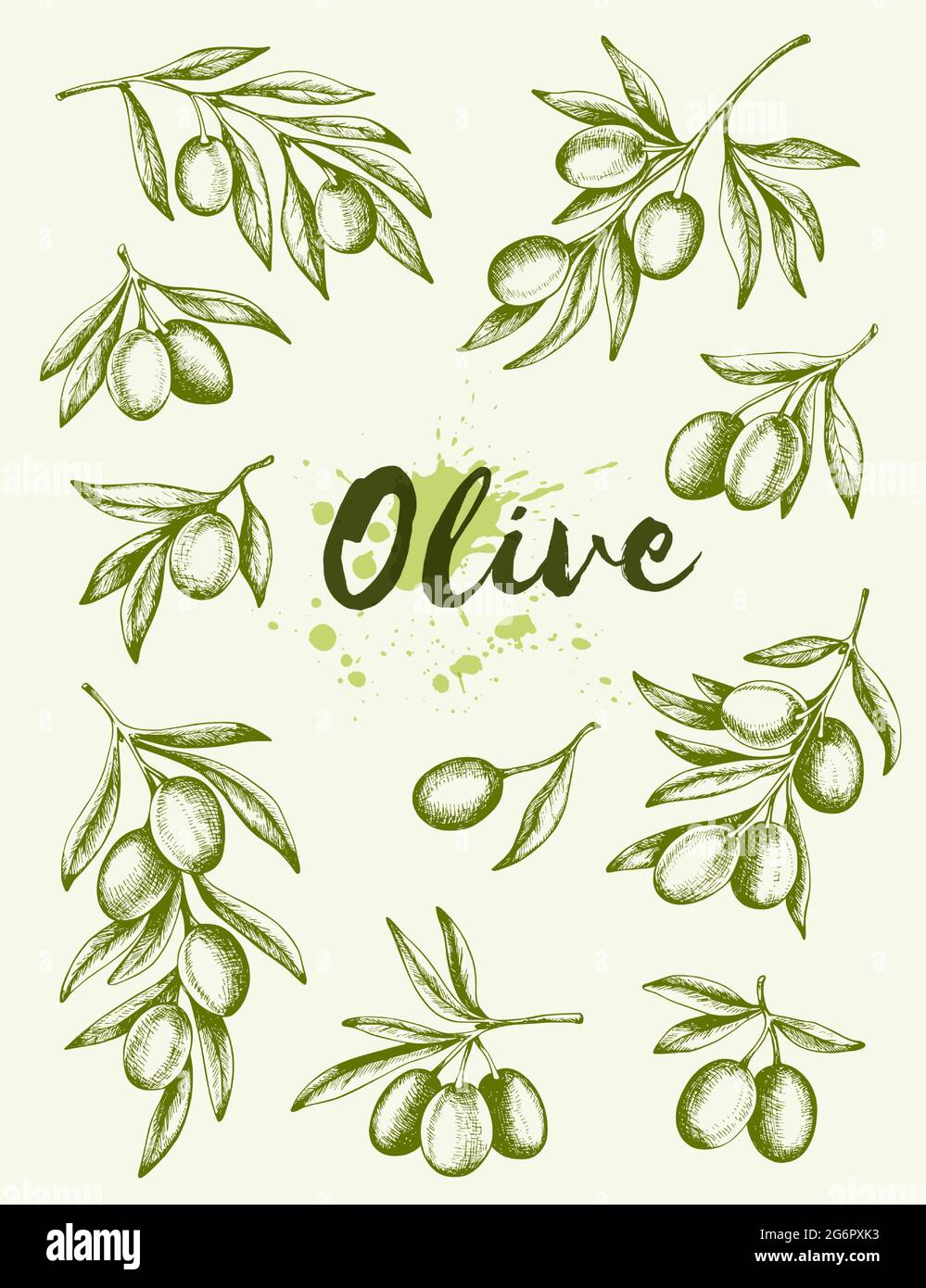Decorative Vintage Hand Drawn Olives Vector Illustration Stock Vector Image And Art Alamy 