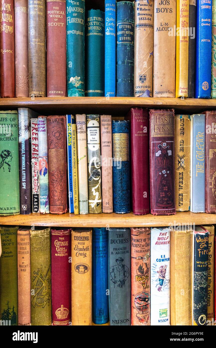 Old books on display on a bookshelf at an antique shop (Hampton Court Emporium, East Molesey, UK) Stock Photo