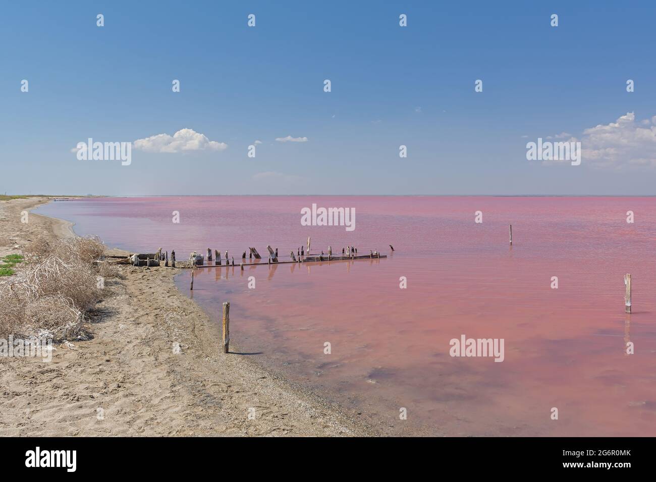 Pink Salt Lake Sasyk-Sivash in Crimea. Beautiful fairy-tale landscape with a lake and blue sky with clouds and people. Salt industry. Pink salt with m Stock Photo