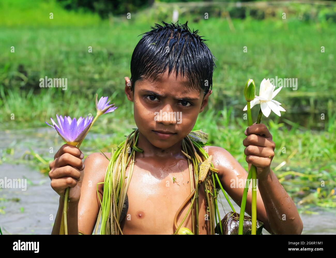 Boy with water lily flower on the pond. Asian boy cute smile with ...