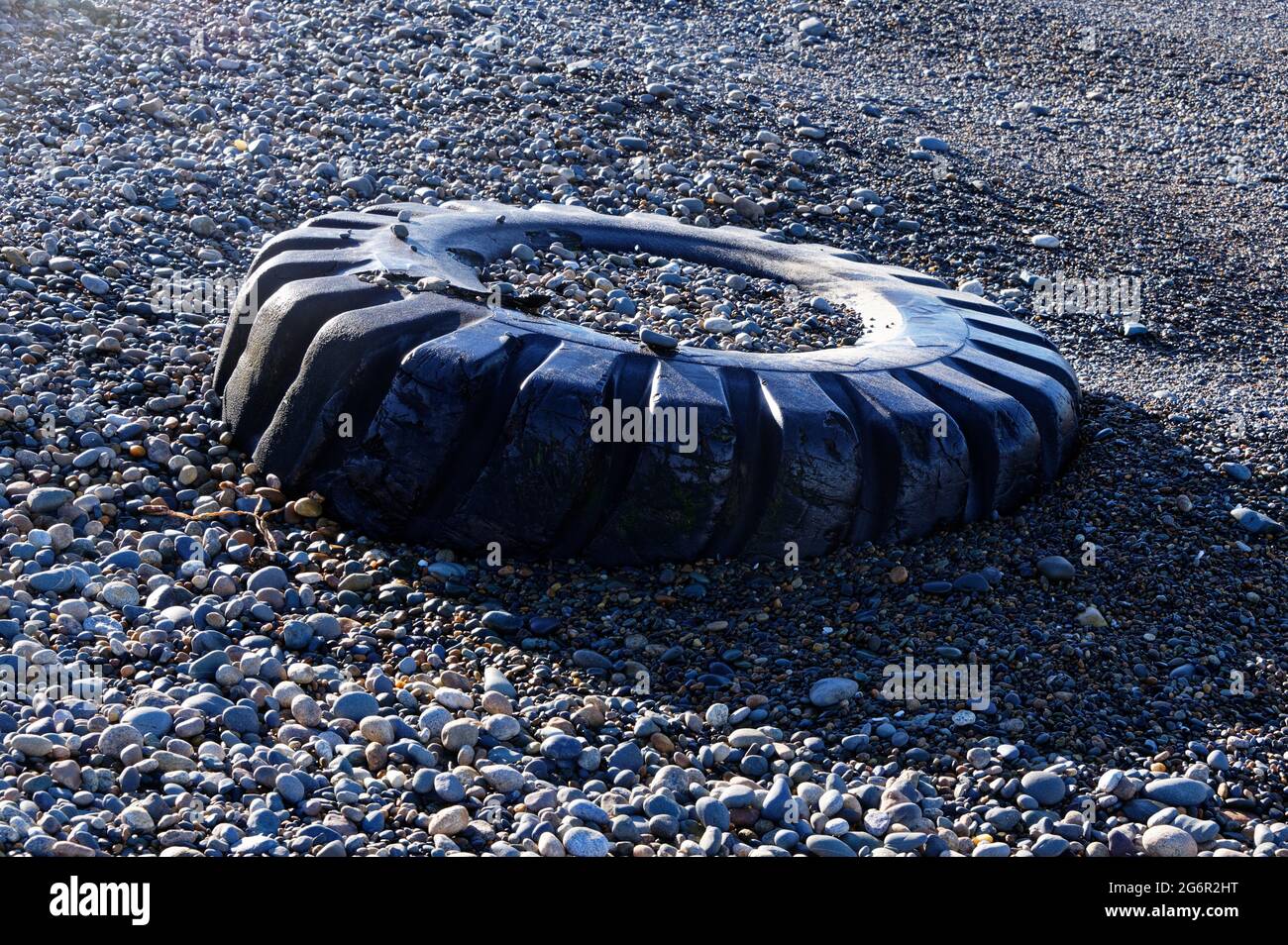 A tractor or truck tyre washed up on the beach and filled with pebbles Stock Photo