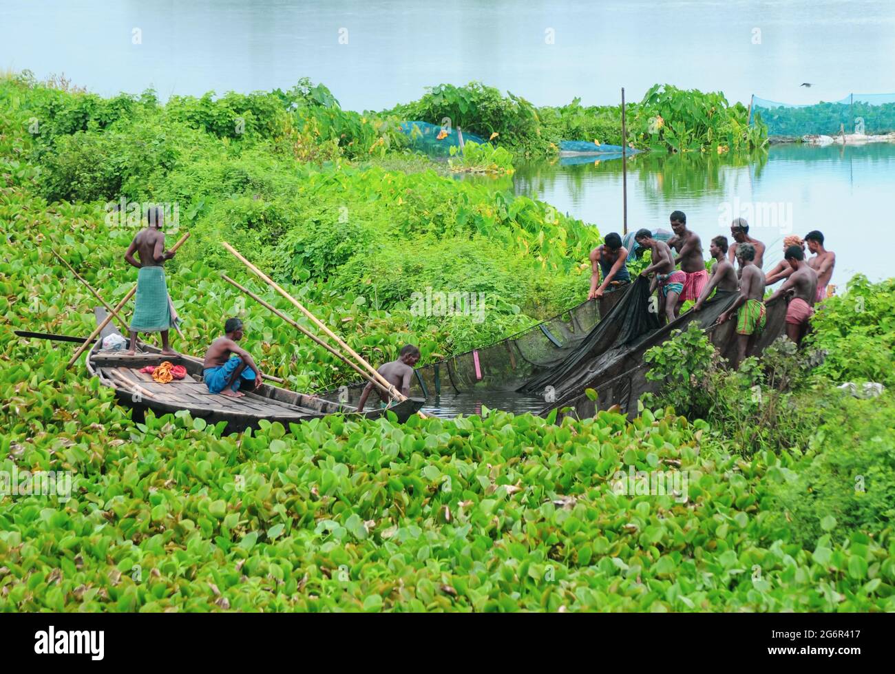 Bangladeshi fishermen caught fish with fishing nets. Fishing on the river with fishing nets. Life of traditional fishermen. Fishing in the river. Stock Photo