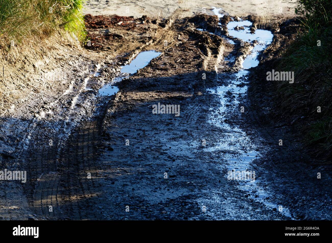 Deep tyre tracks have been left in the sand on the way to the beach, they are filled with water Stock Photo