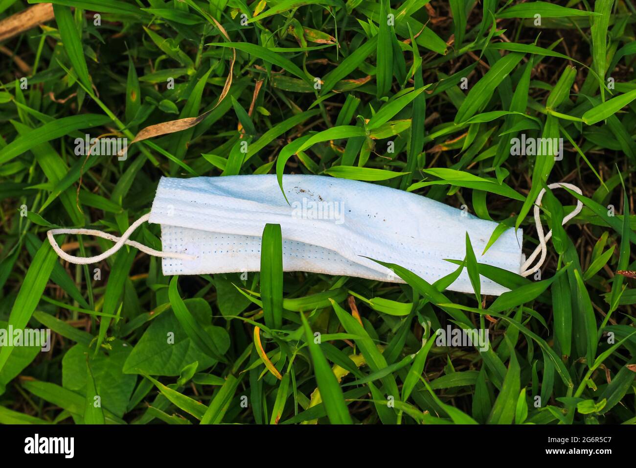 Used surgical mask, surgical mask thrown on the grass, environment